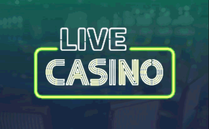 5554-live-casino-gif-16844086626044